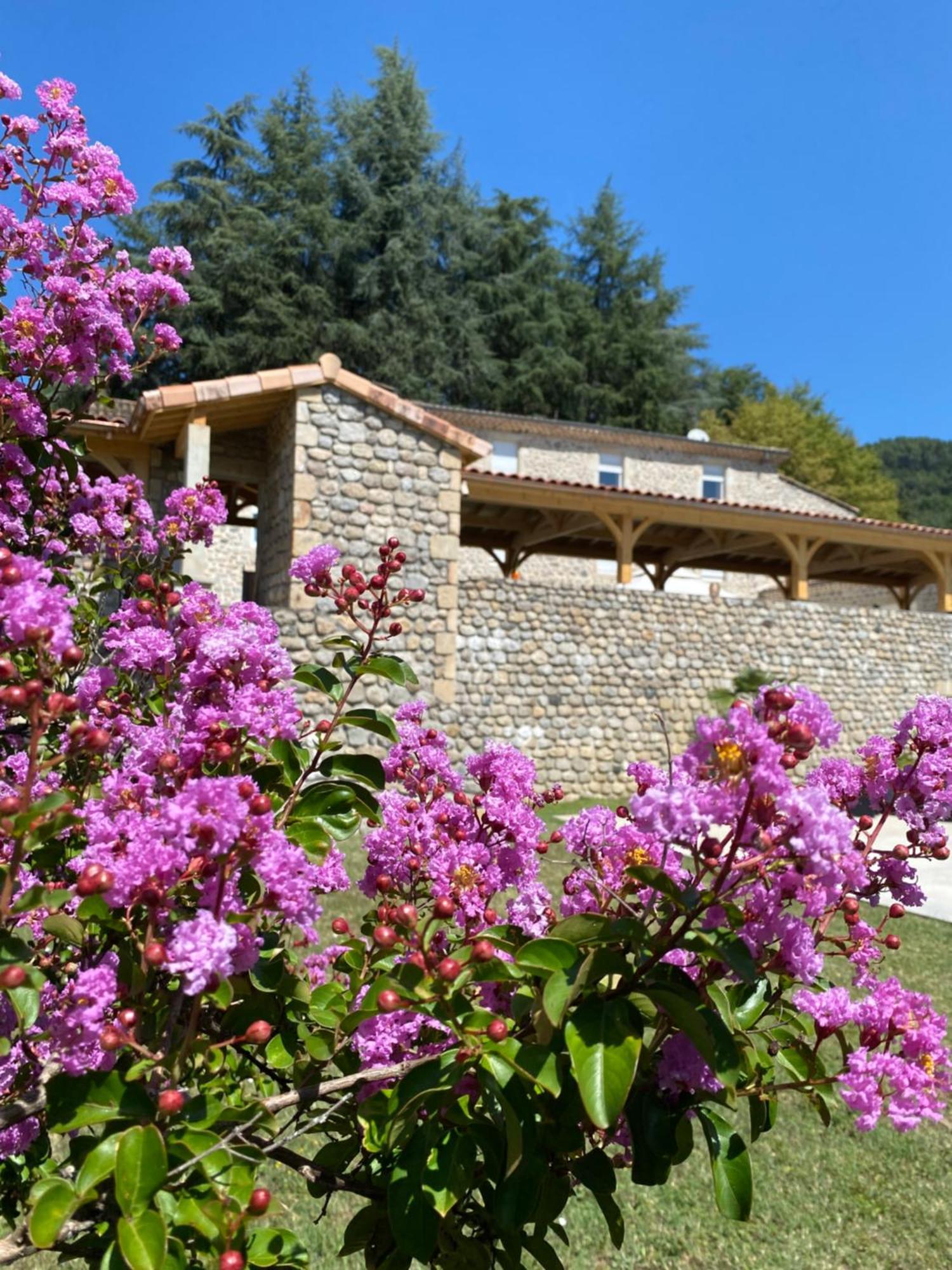 Saint-Fortunat-sur-EyrieuxDomaine Les Buis住宿加早餐旅馆 外观 照片